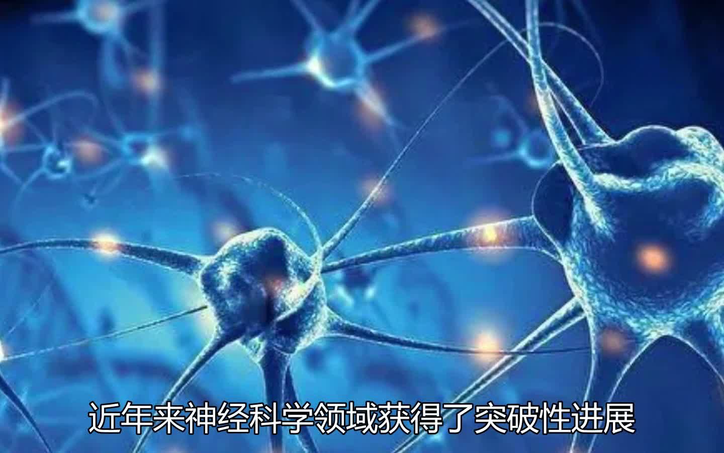 神经科学：大脑的奥秘_大脑的奥秘神经科学导论属于什么学科