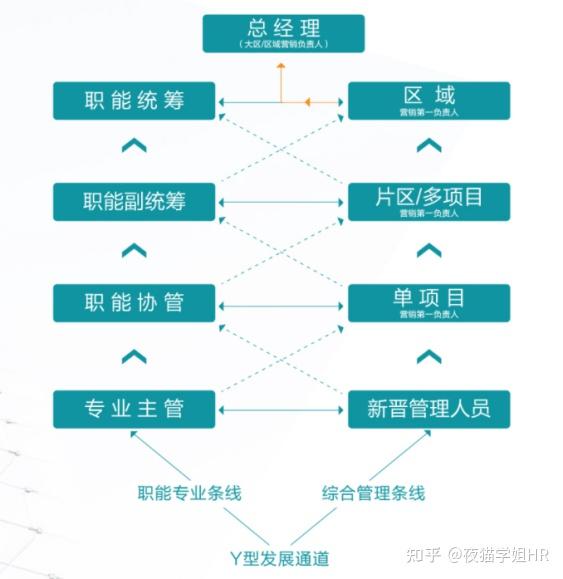 专业选择与未来职业路径_个人专业选择与职业规划