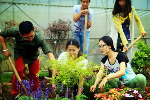 揭秘园艺学专业的植物栽培艺术_园艺植物栽培学总论题库及答案