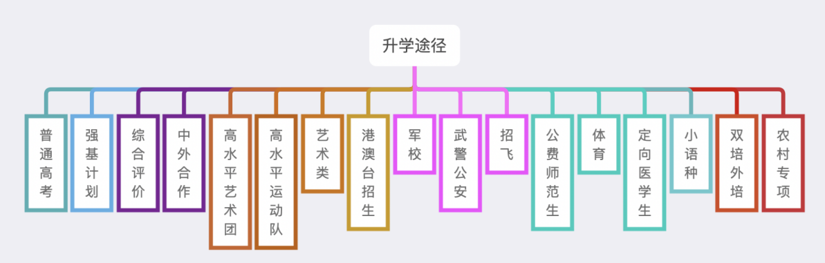 志愿填报的个性化学习路径_志愿填报形式