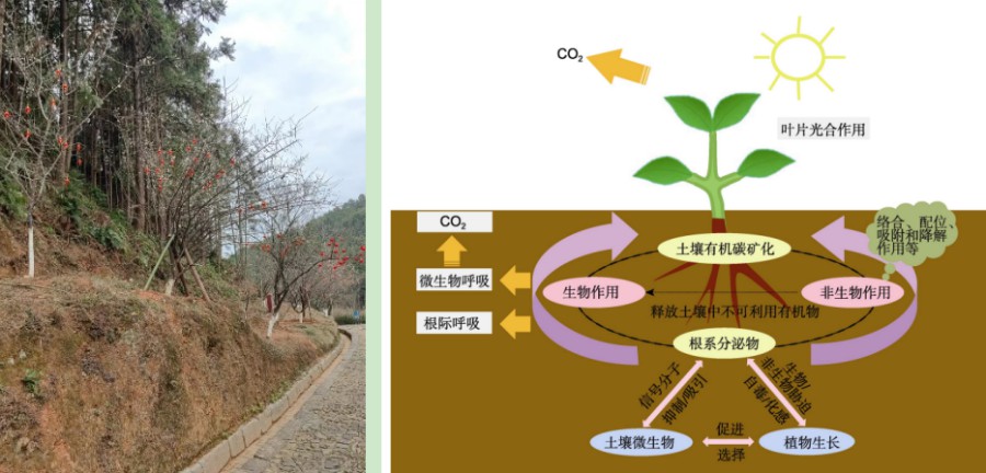 专业环境适应性的志愿重要性_专业更适应于社会竞争