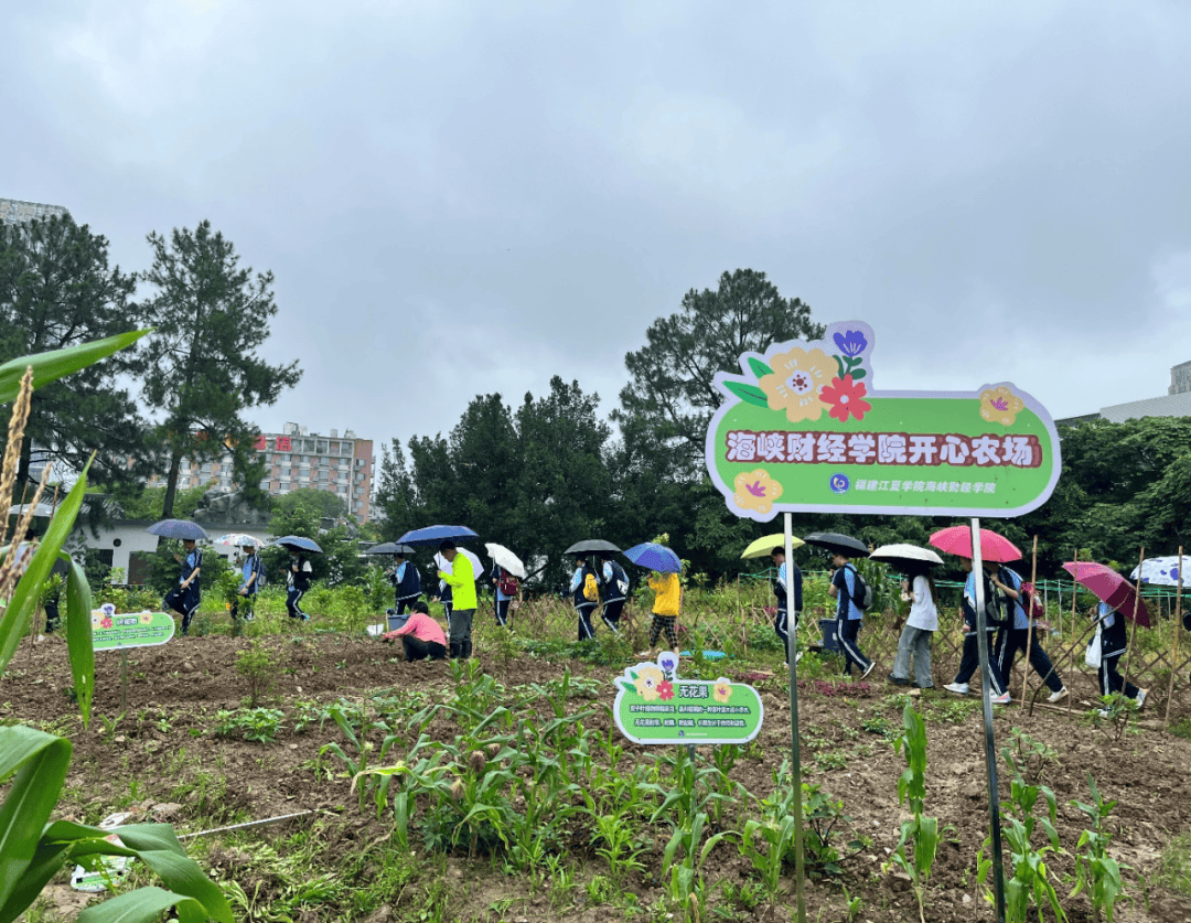 职业兴趣发掘之旅_探索职业兴趣的六种典型内容