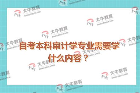 审计学的学科内容与就业前景_审计学学的什么