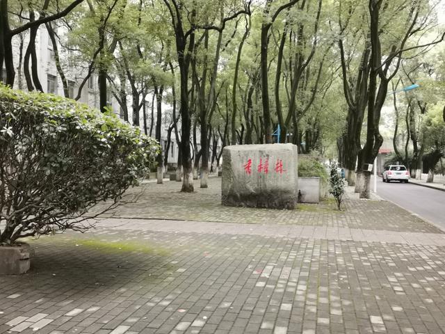 江西师范大学的赣文化探讨_江西师大文学院