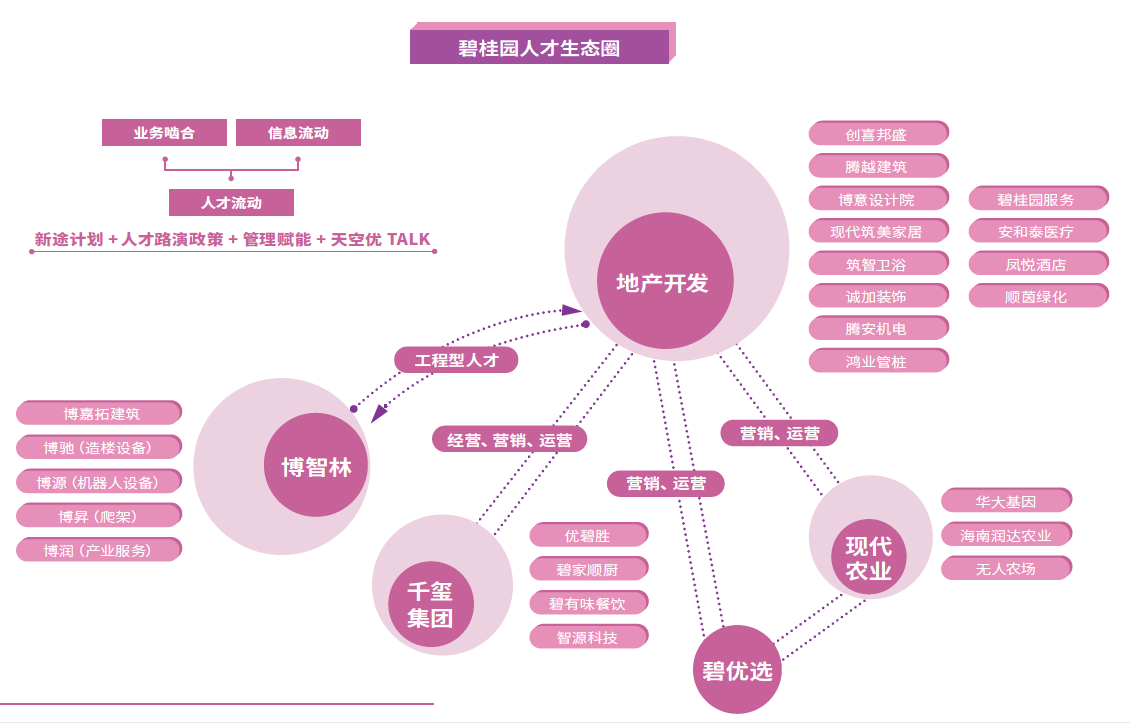 连续性在职业发展_职业发展可持续性