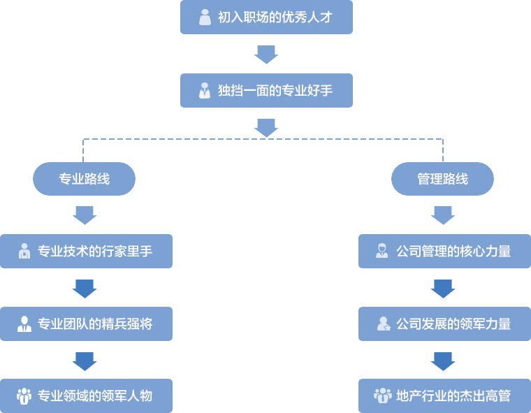 职业规划的行业内部晋升途径_职业规划岗位