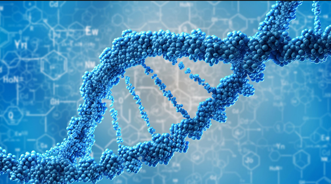 走进生物医学工程专业的创新世界_生物医学工程最新发展前沿