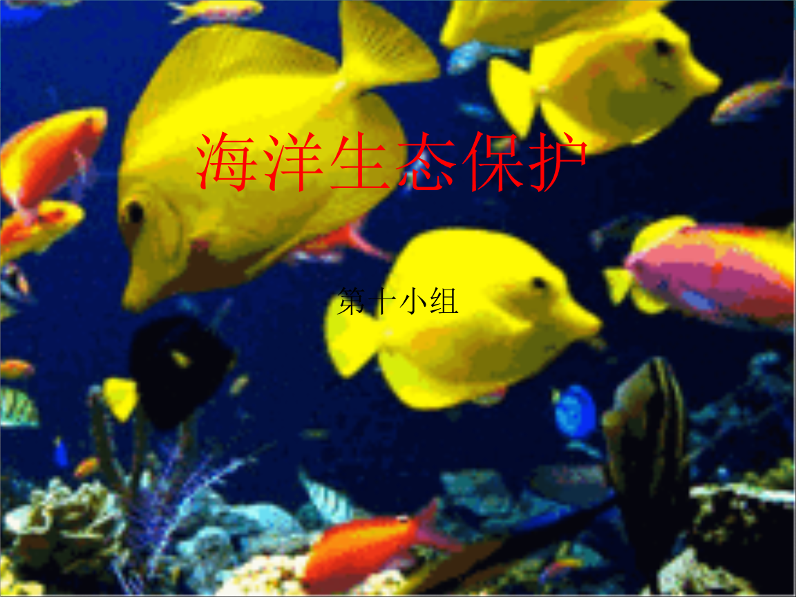 探索海洋资源与环境专业的海洋生态保护_海洋环境和资源