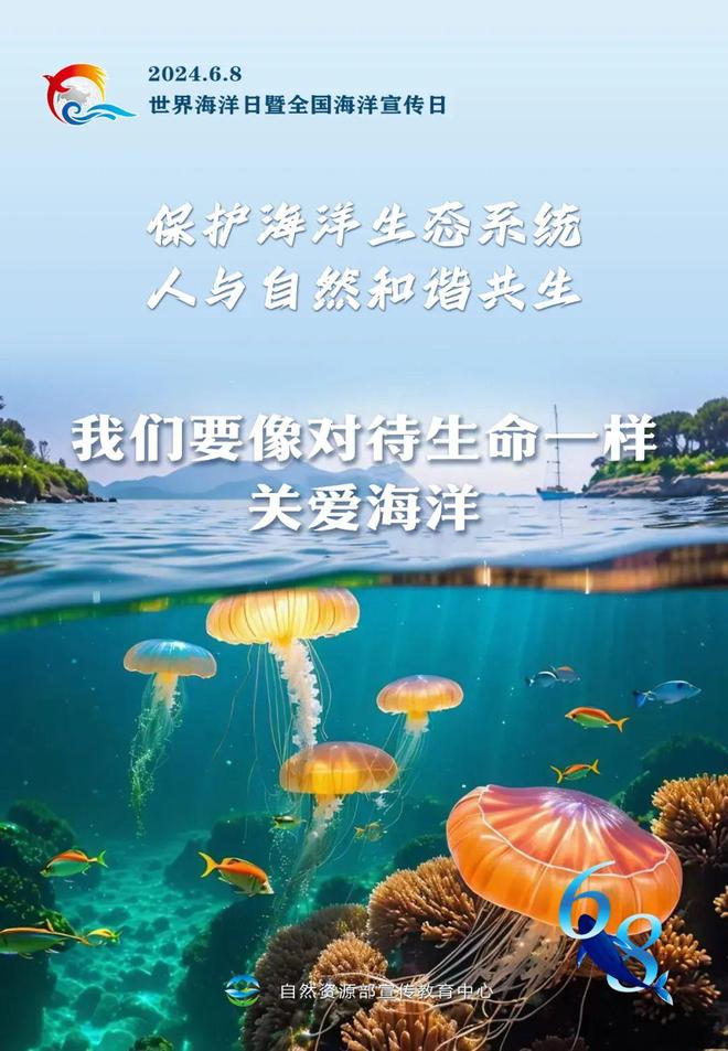 探索海洋资源与环境专业的海洋生态保护_海洋环境和资源