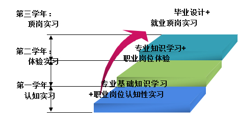 志愿填报中的专业国际视野_志愿填报的专业栏怎么填