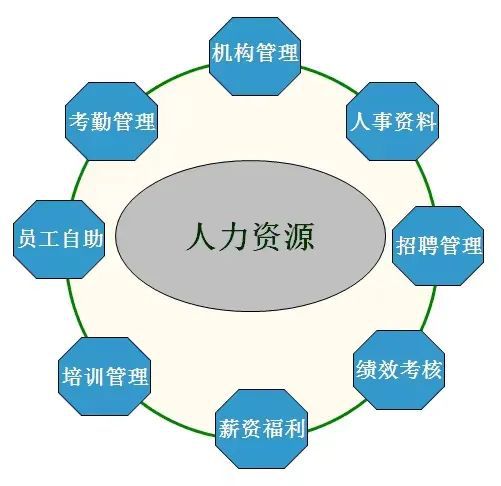 人力资源管理的学科知识与就业方向_人力资源管理主要专业课程