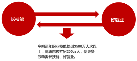 职业适应性培养：在变化中保持竞争力_职业适应力是什么意思