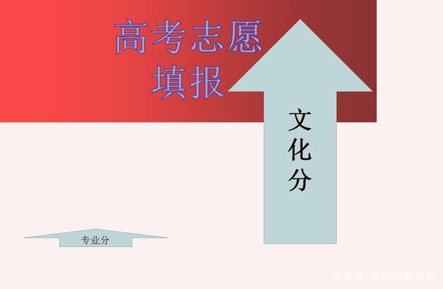 院校文化体验在志愿填报中_校园文化建设志愿服务活动