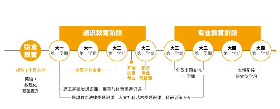 专业创新能力的志愿选择_专业创新能力建设试题及答案