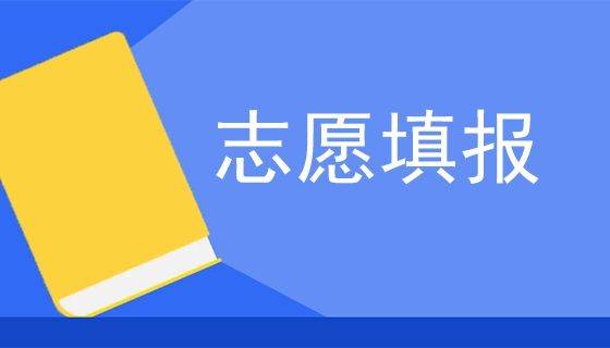 志愿填报的备选方案制定_志愿填报准备