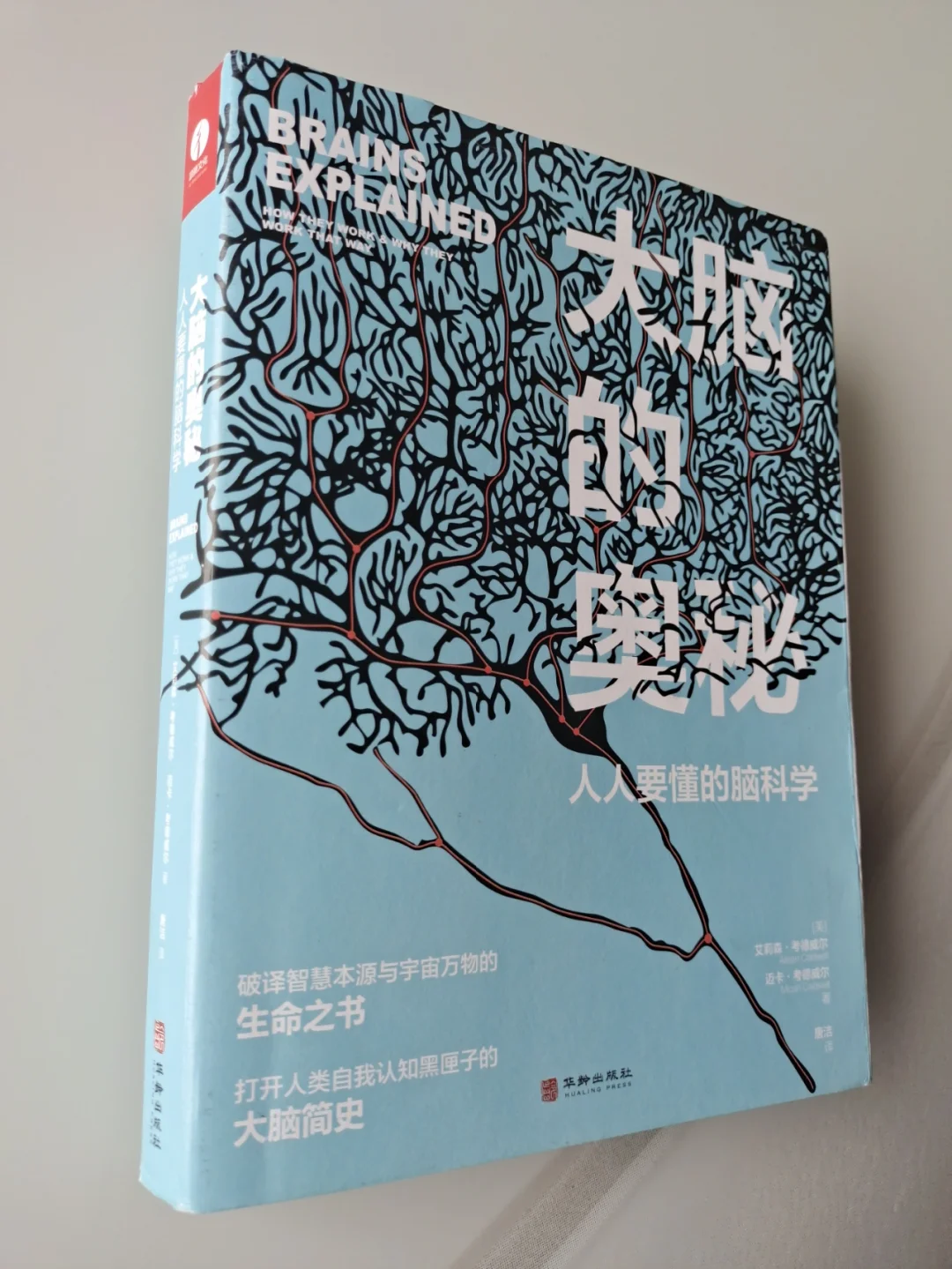 神经科学：大脑的奥秘_大脑的奥秘神经科学导论属于什么学科