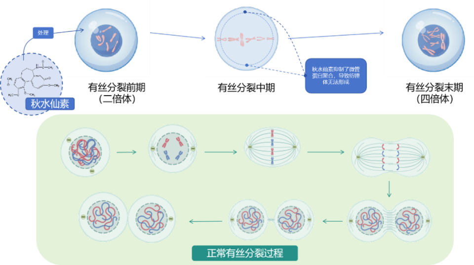 计算生物学：生命过程的模拟_计算生物学课件