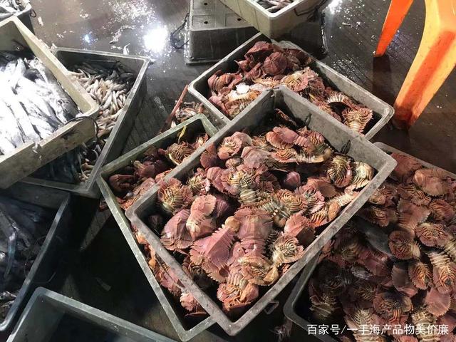 走进水产品加工及贮藏工程专业的水产食品加工_水产品加工技术主要包括哪几个方面