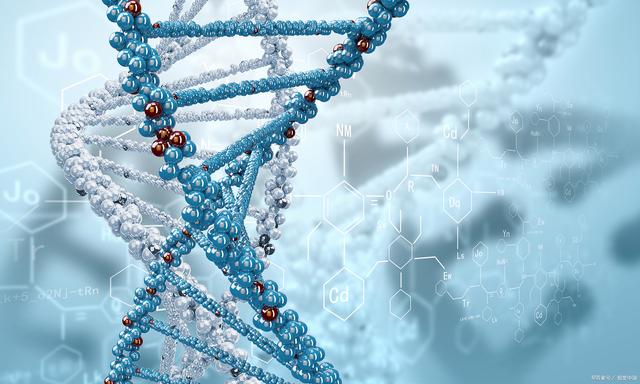 空间环境与生物医学：太空生物医学的研究_空间生物技术