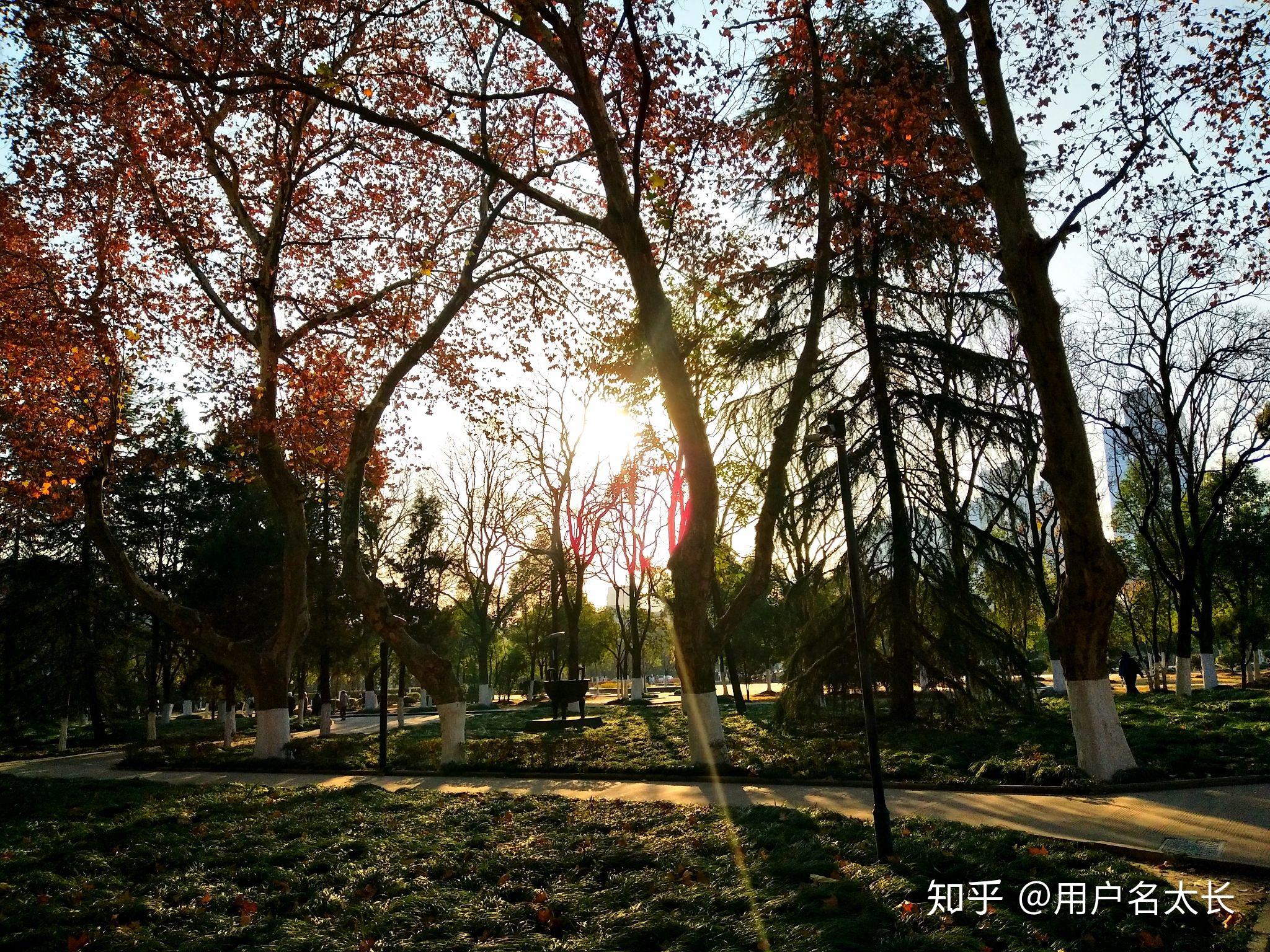 安徽大学汉语言文学的文化传承_安徽大学汉语言文学就业前景