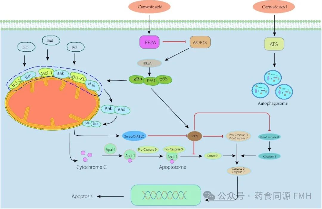 河南大学生物化学与分子生物学_河南大学生物化学考研大纲