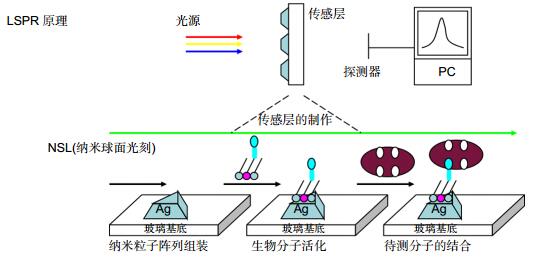 光电子学在生物医学成像中的应用_光电子学在生物医学成像中的应用有哪些