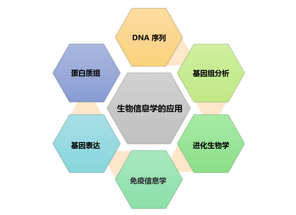 河南大学生物信息学的技术应用_河南大学生物技术专业