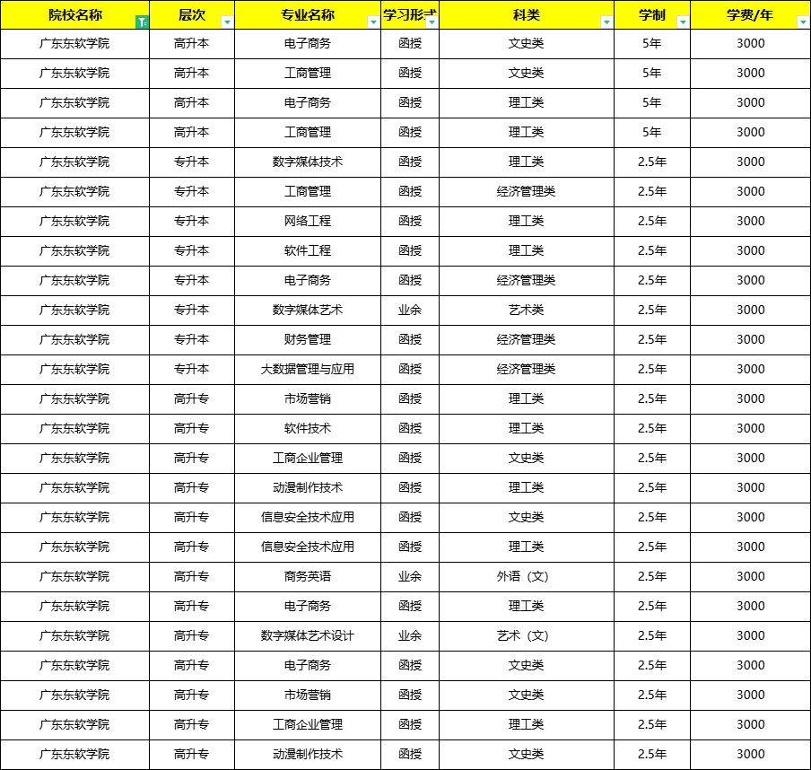 广东东软学院电子商务_广东东软学院电子商务学费