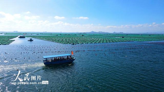 海洋渔业科学与技术专业就业机会与海洋生态_海洋渔业科学技术前景