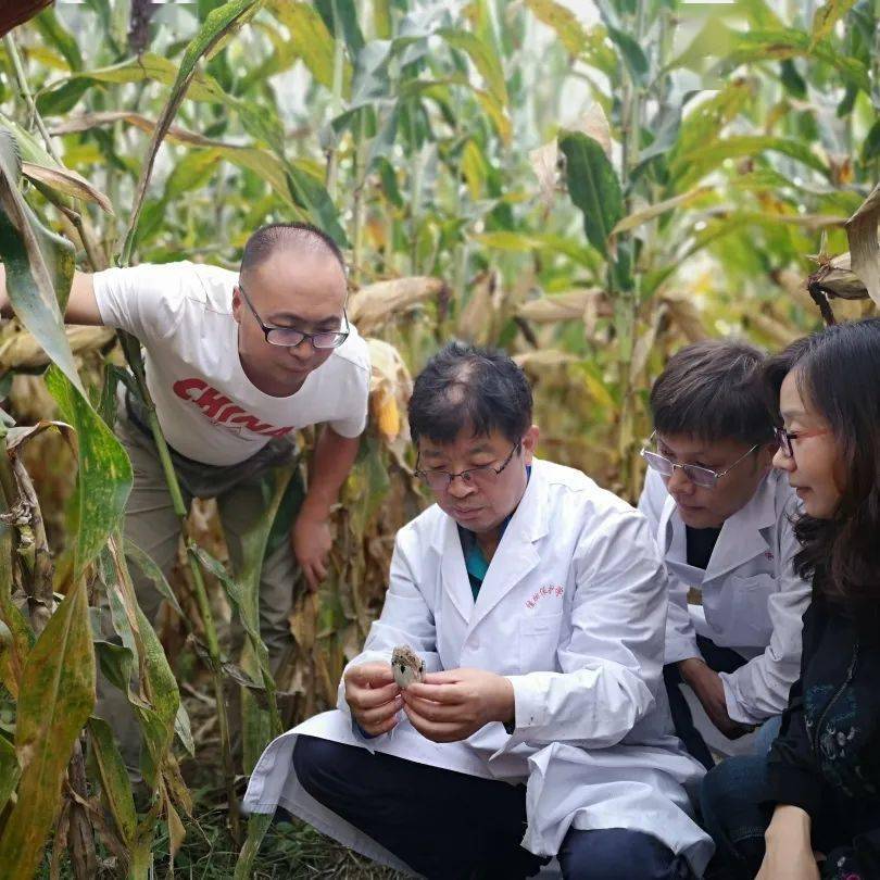 植物检疫专业植物检疫官与生物安全专家职业_植物检验检疫技术