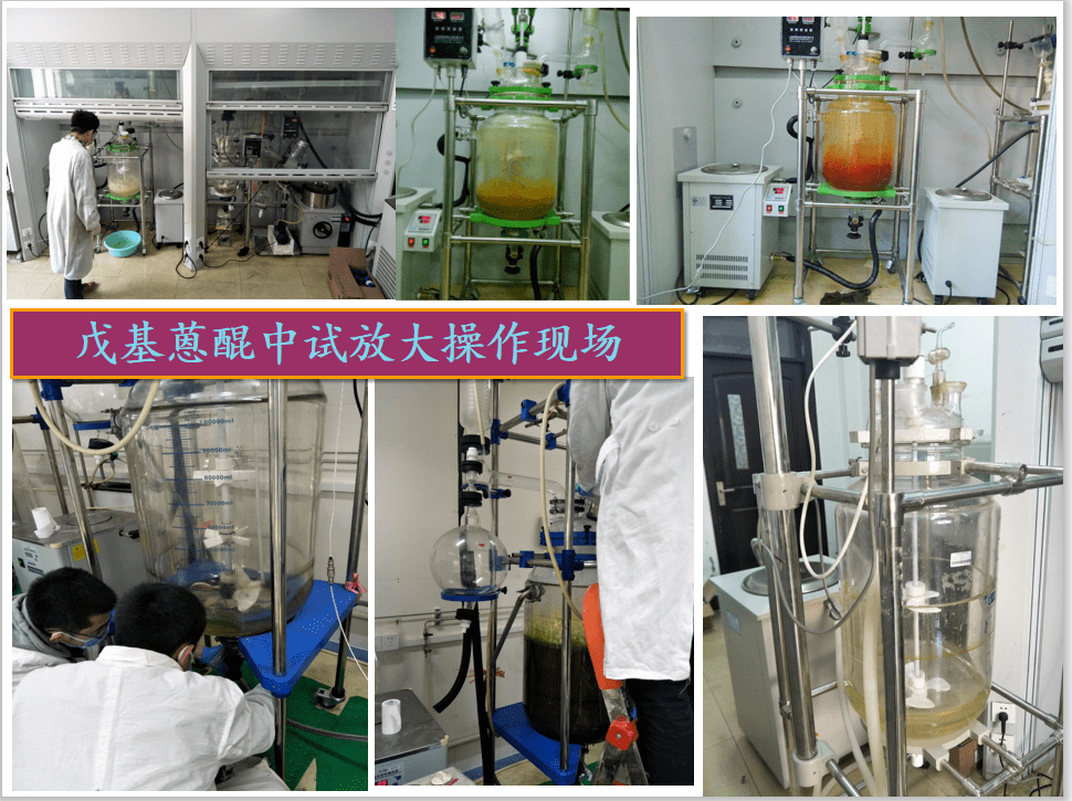 应用化学专业市场需求与化学分析职位_应用化学职业需求情况调查报告