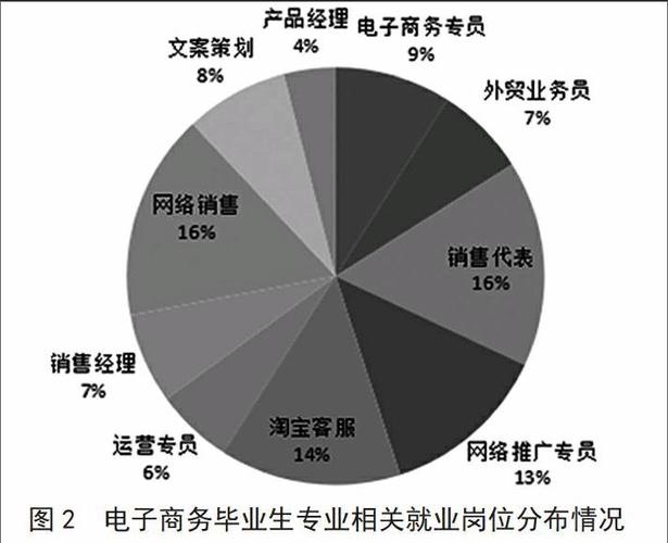 电子商务专业电子商务运营专家与数字营销顾问职业_电子商务营销专员是做什么的