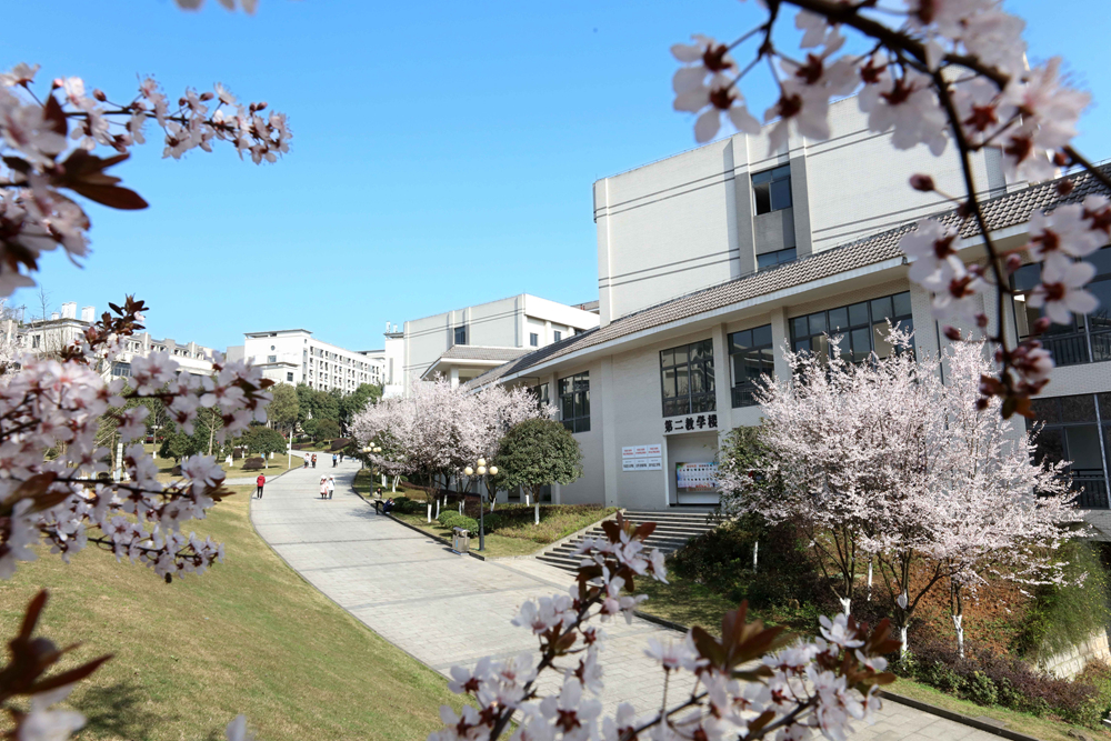 重庆第二师范学院地理信息科学_重庆第二师范学院信息中心