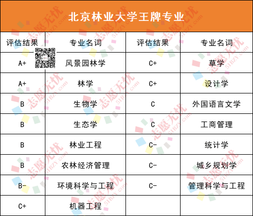 中央音乐学院音乐学系音乐学专业志愿填报要点_中央音乐学院音乐系有哪些专业