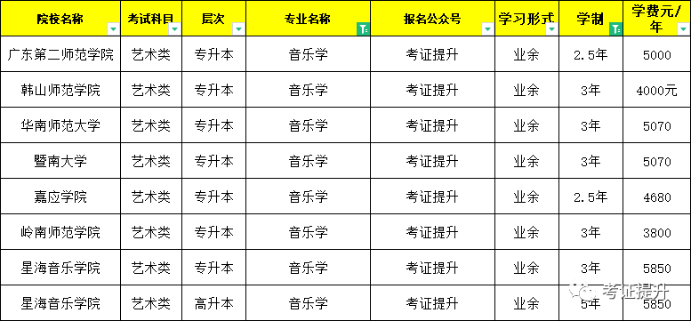 音乐学专业音乐历史与音乐理论职业_音乐学专业音乐历史与音乐理论职业规划