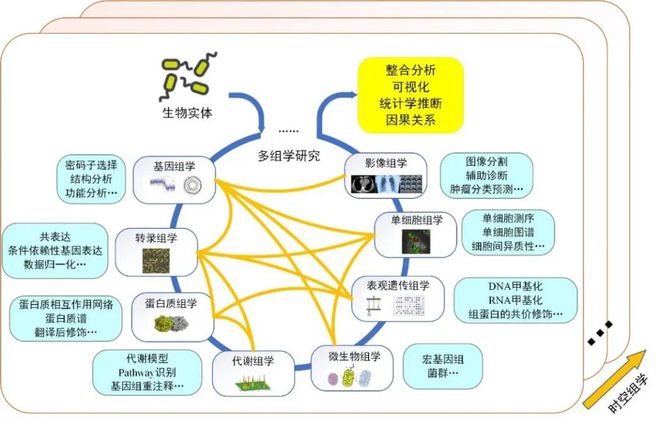 生物信息学专业解析与生物信息处理_生物信息学专业就业方向及就业前景分析