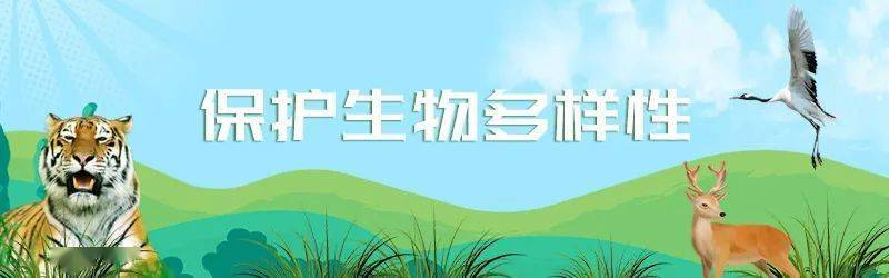 野生动物与自然保护区管理专业课题方向与生物多样性保护_野生动物与自然保护区管理专业选科要求