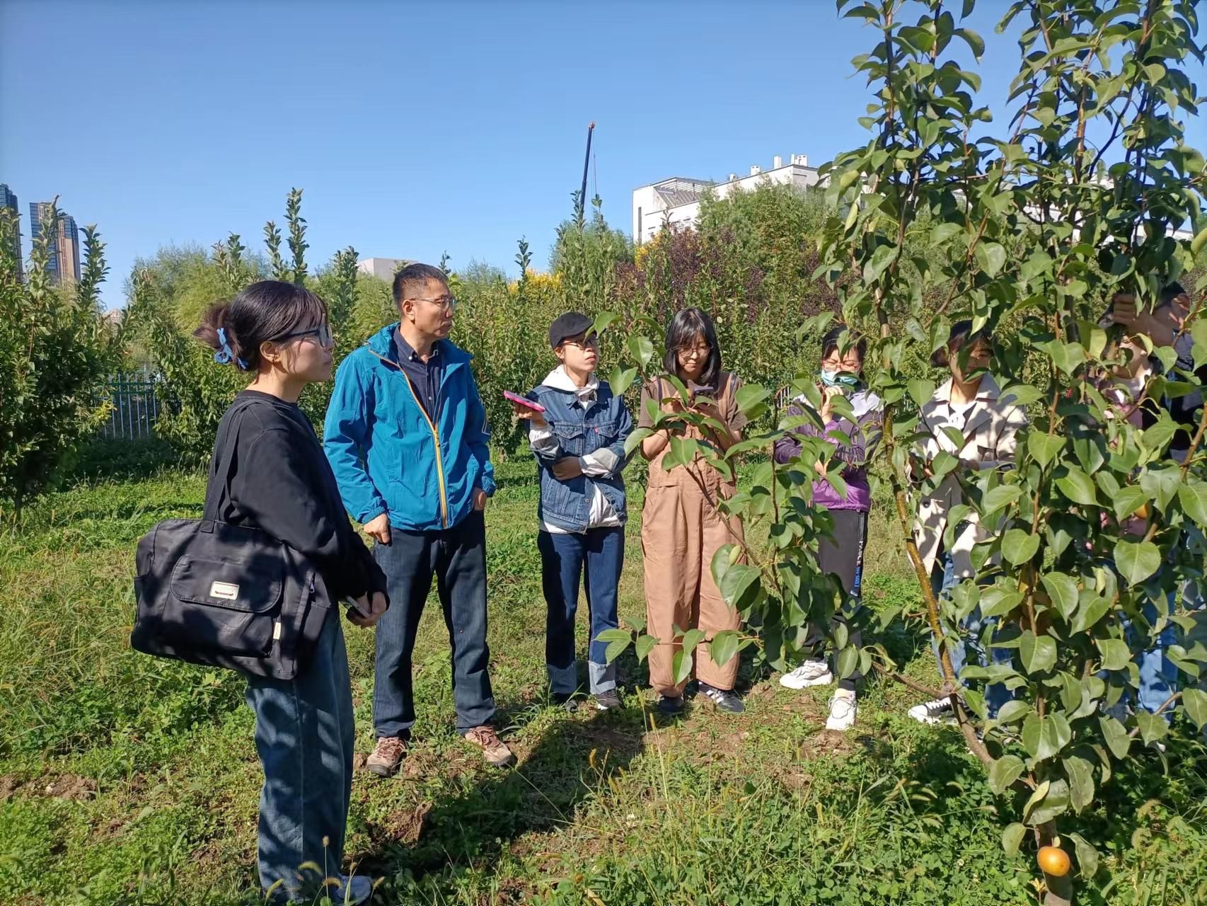 设施农业科学与工程专业实践经验与设施农业_设施农业科学与工程主要学什么