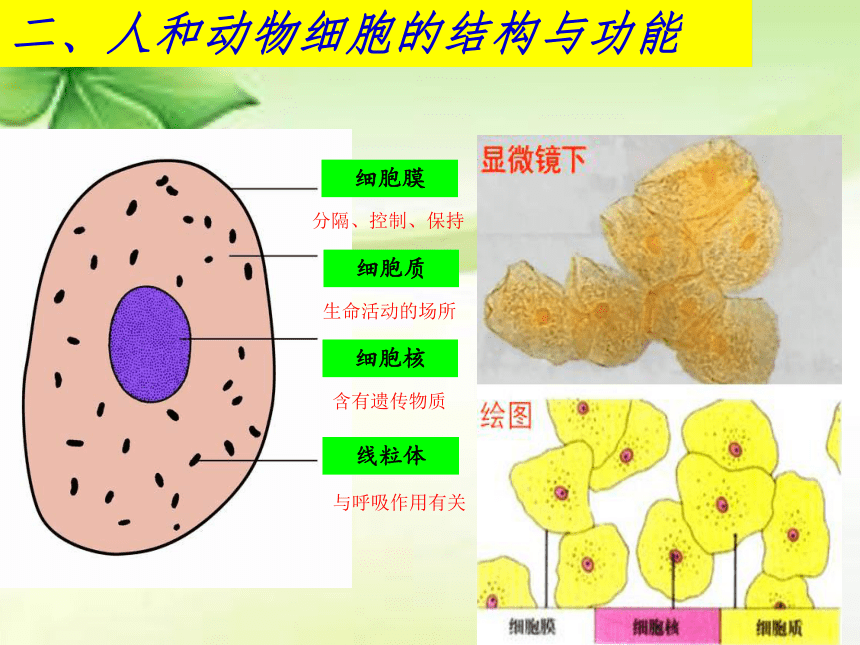 动物科学专业解析与动物遗传育种_动物科学专业解析与动物遗传育种专业