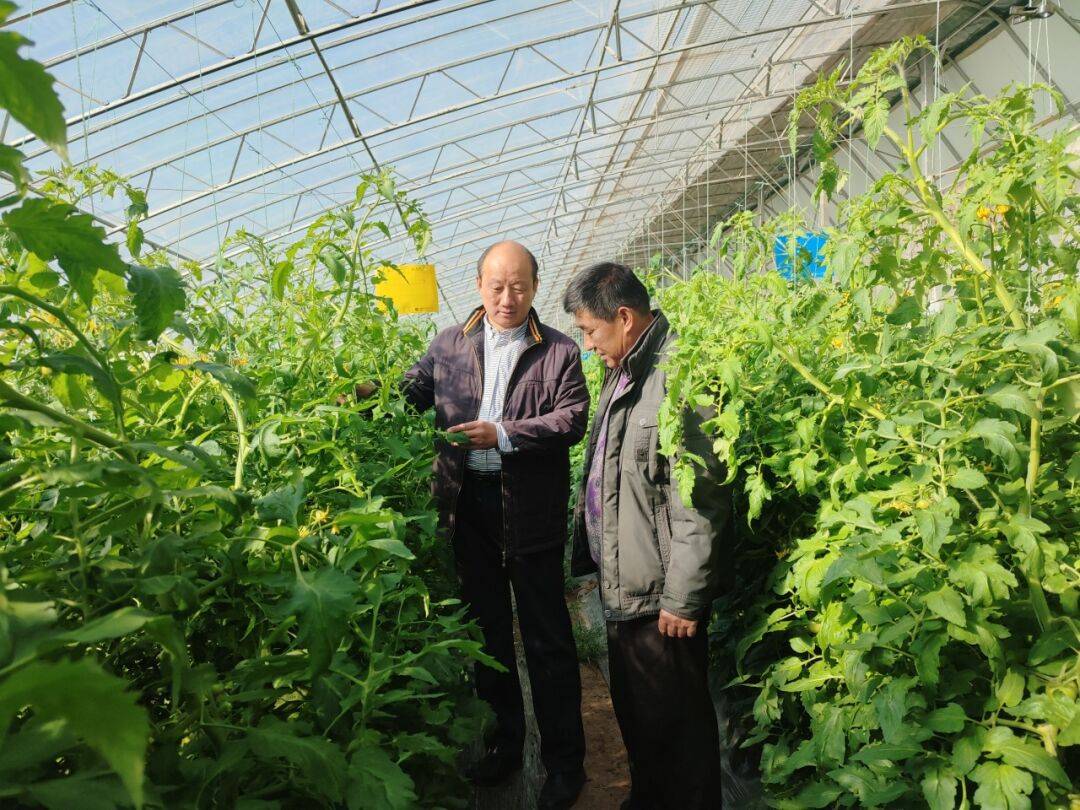 植物生产类专业园艺技术与植物保护职业_园艺植物生物技术是什么