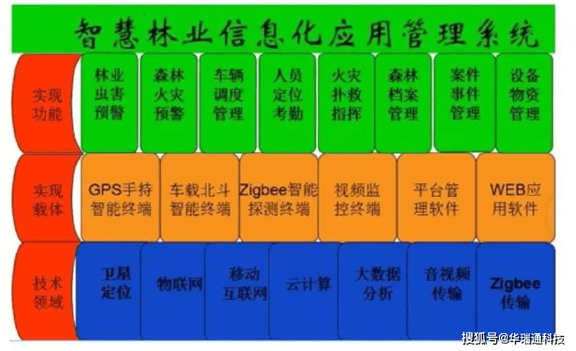 森林资源与保护专业解析与林业管理_森林资源保护和管理是学什么的