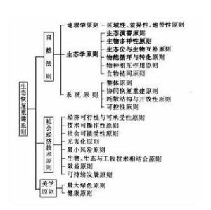 生态学专业解析与生态系统保护_生态学方面