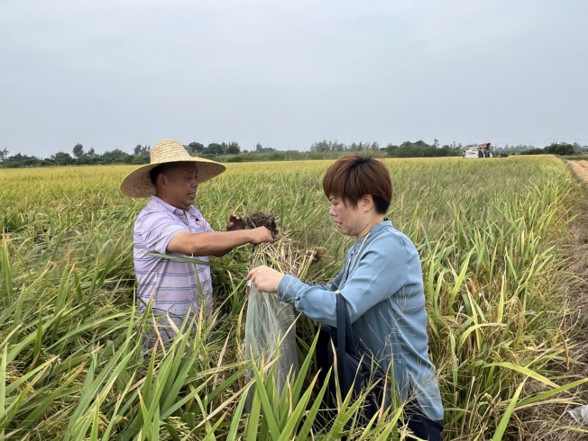 农业科技组织与服务专业课题方向与农业教育_农业科技组织服务农村经济