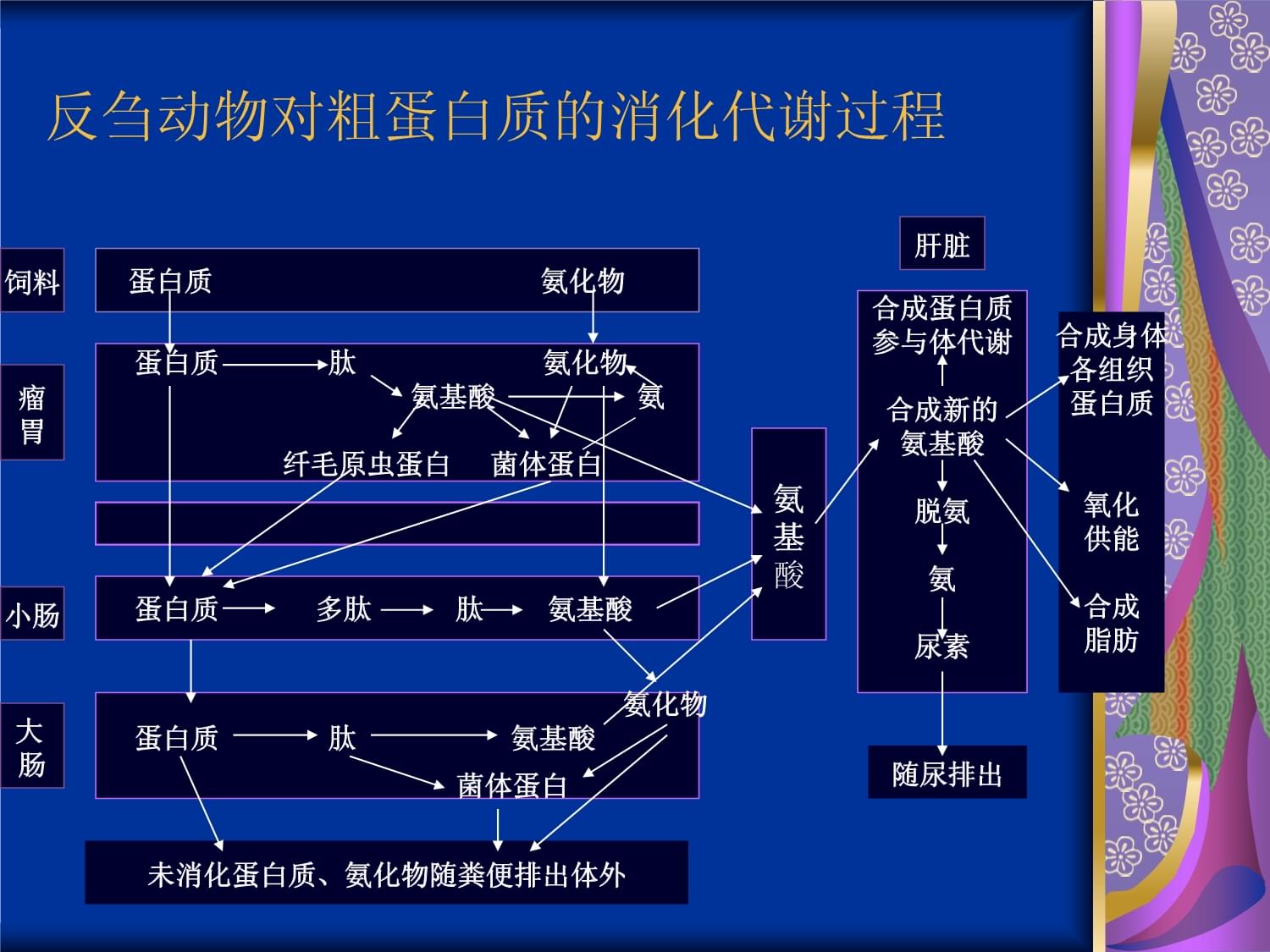 动物科学专业解析与动物营养_动物营养学研究方向