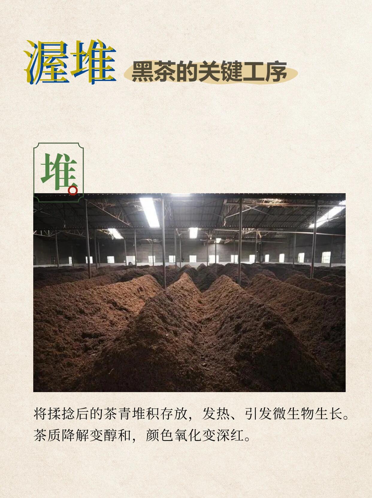 茶学专业解析与茶叶生产技术_茶叶生产与加工专业课程