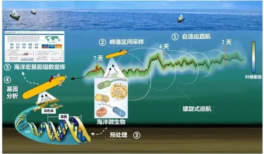 AI在海洋工程中的应用课程：水下机器人与自主航行_水下机器人研究现状