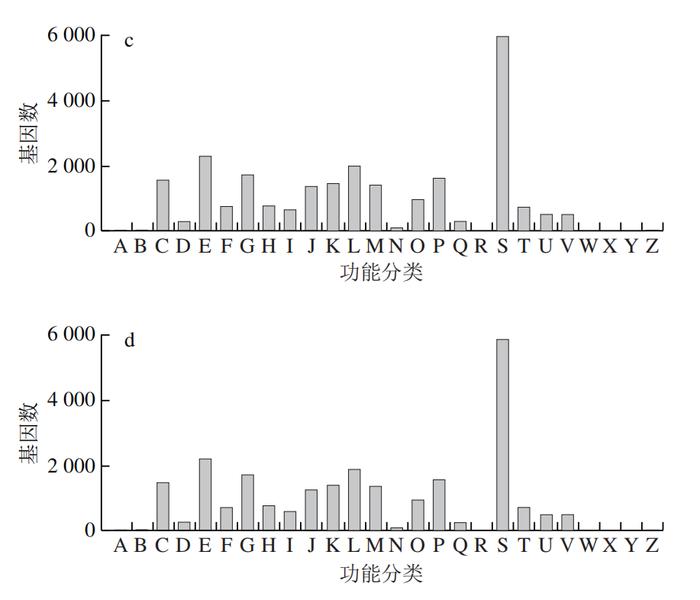 基因组学数据分析专业：基因编辑数据的高级分析技术_基因基因组基因组学