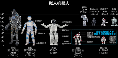 教育技术学专业：人形机器人在教育中的应用_教育类机器人功能