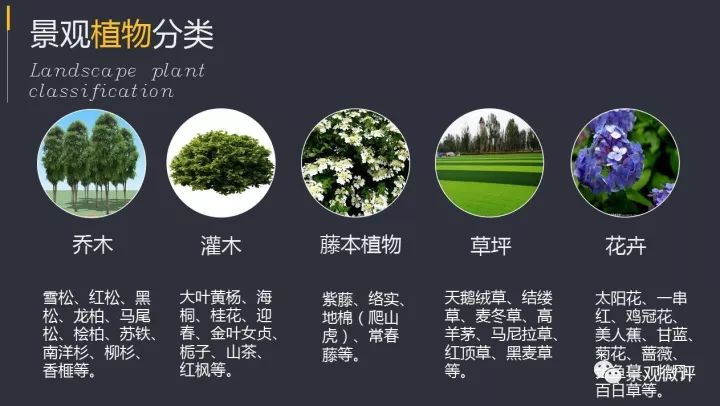 风景园林：园林植物与植物配置课程_风景园林植物基础