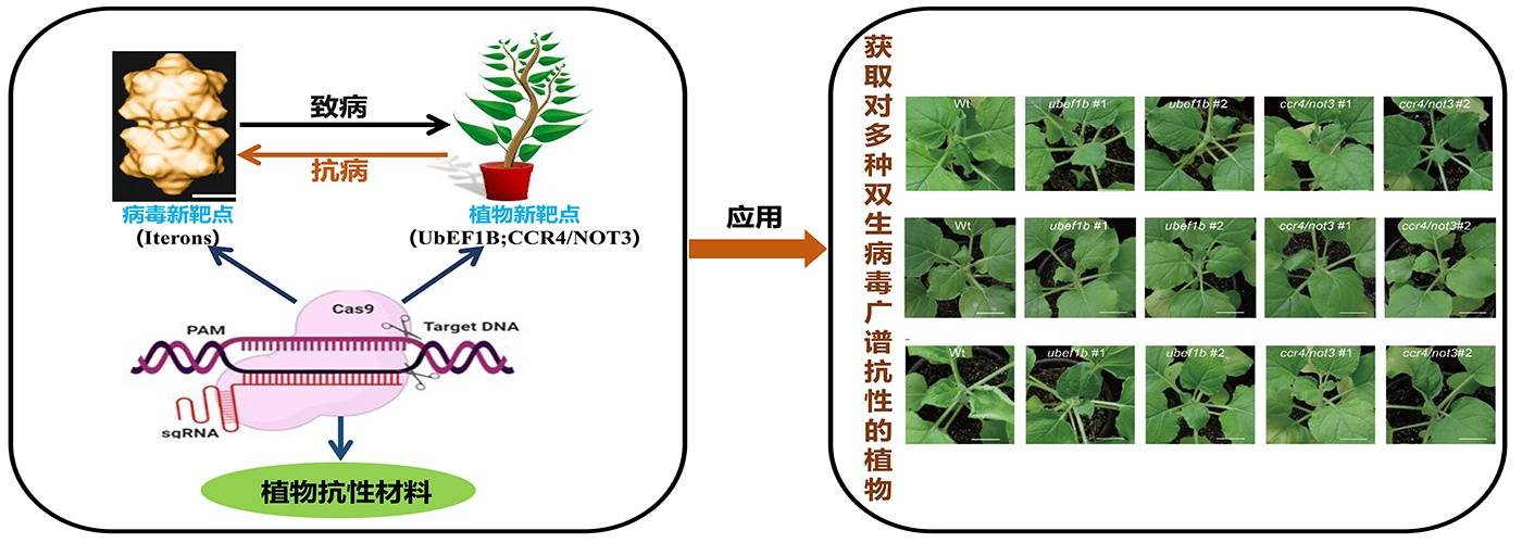 北京农学院新材料专业课程与农业新材料_北京农学院农业资源与环境就业率